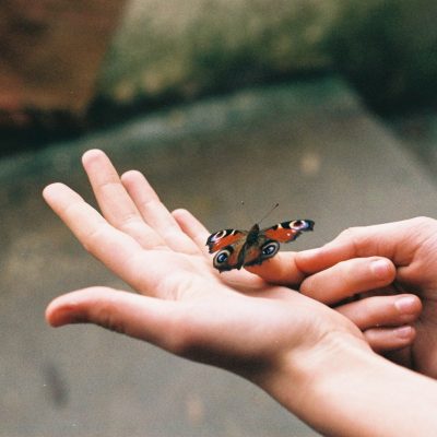 hands with butterfly