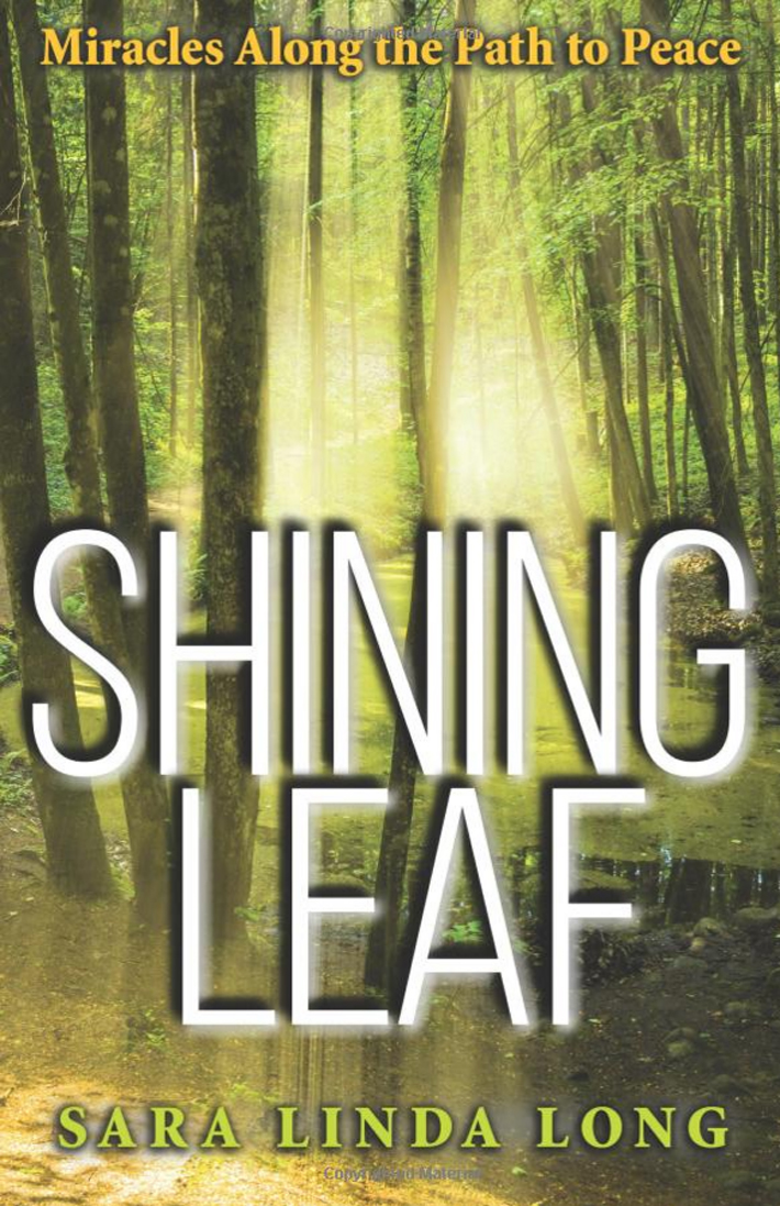 shining leaf book cover